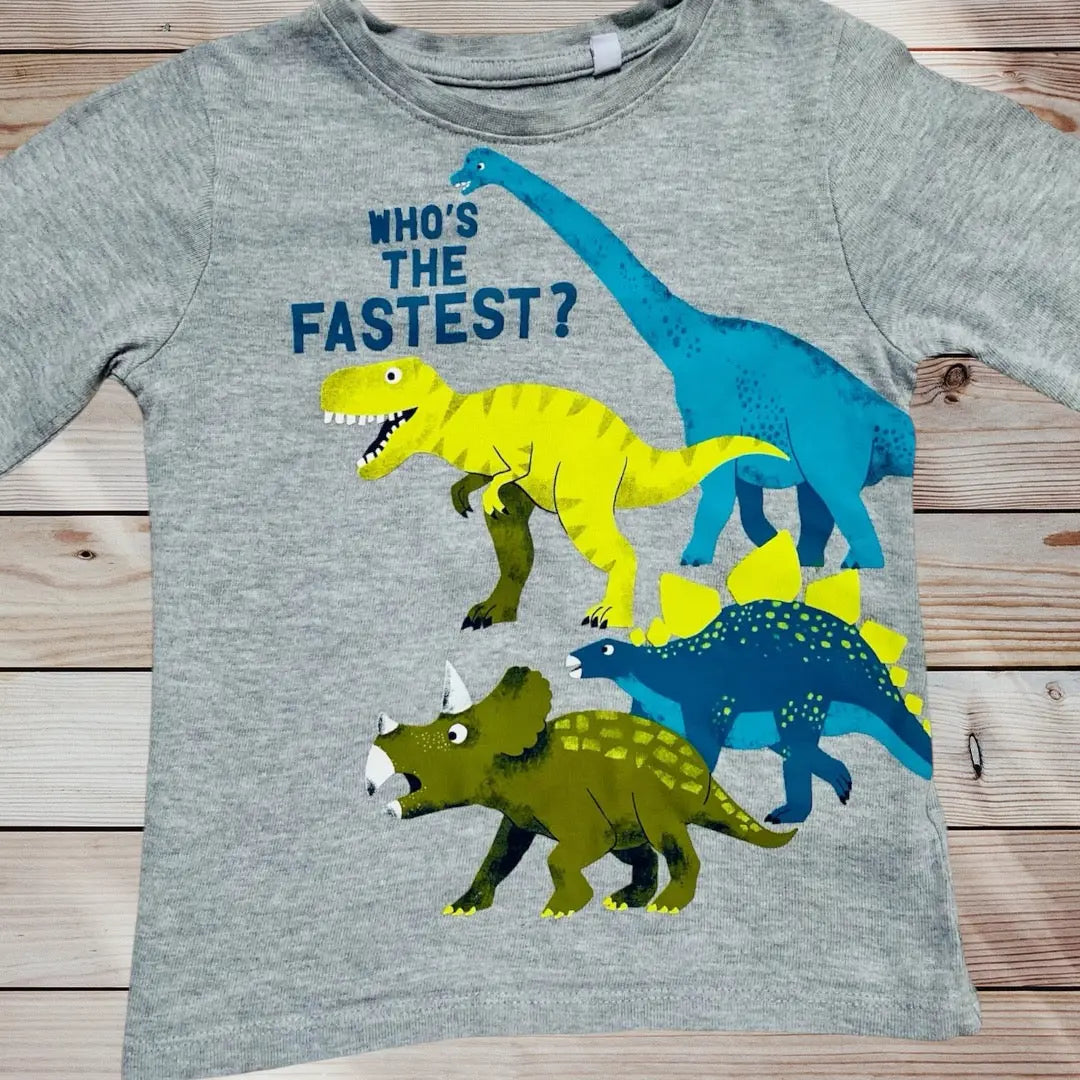 T-shirt Garçon 3 Ans C&A - Dinosaures Multicolores la petite friperie