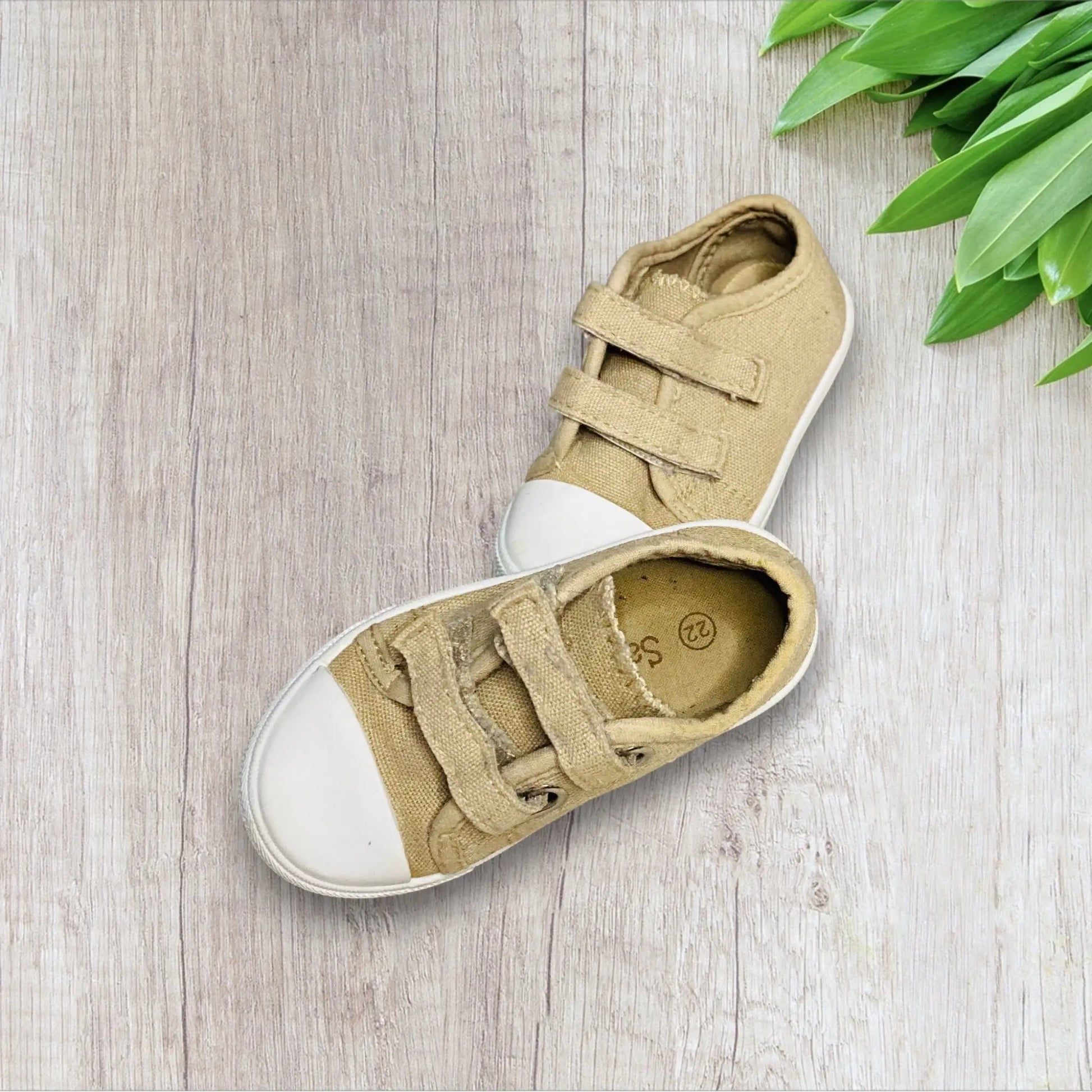 Baskets Style Converse Beige à Scratch - Pointure 22 - Saxo Blues par Orchestra orchestra