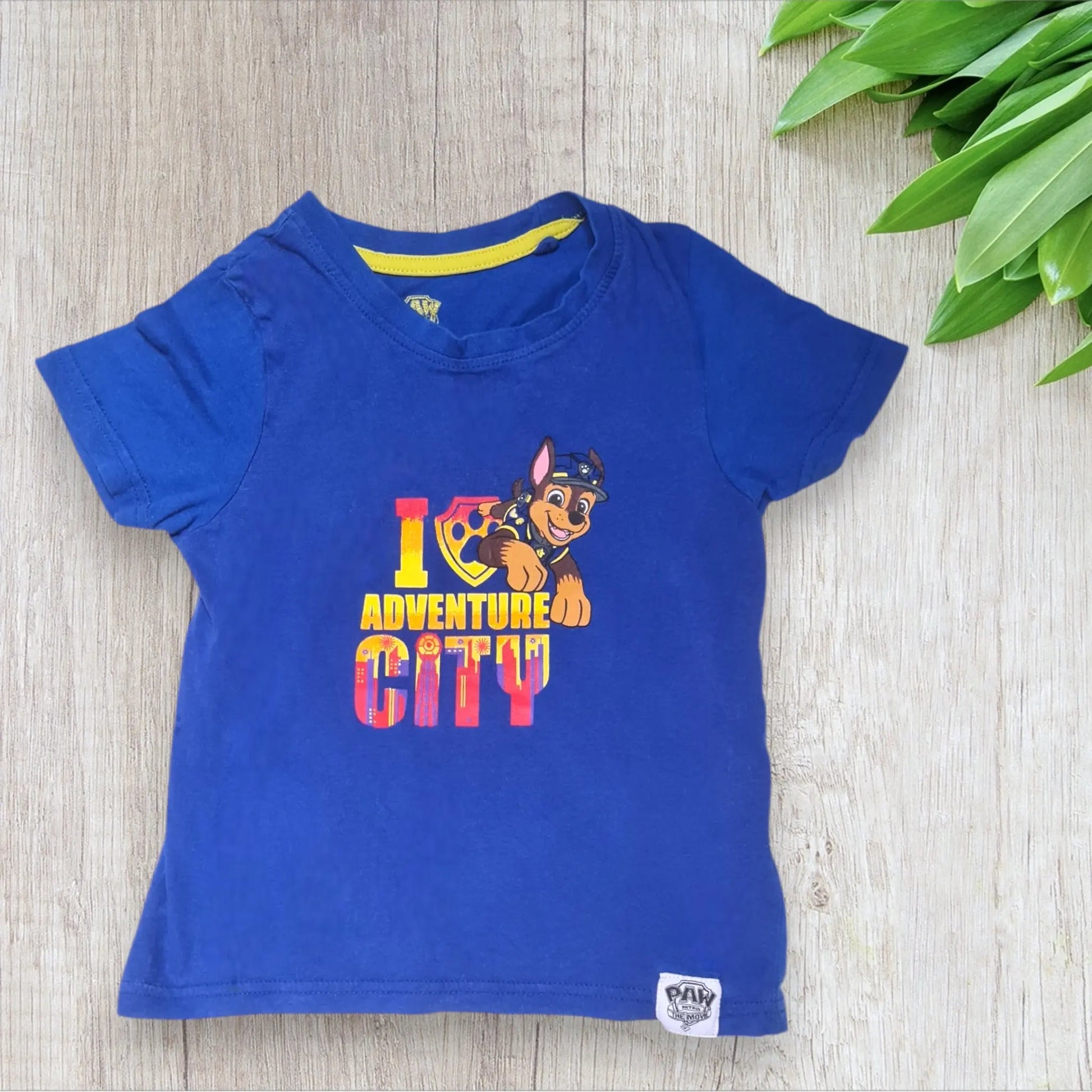 Ensemble pyjama garçon Pat’Patrouille – 2-4 ans – Lidl – Très bon état lidl