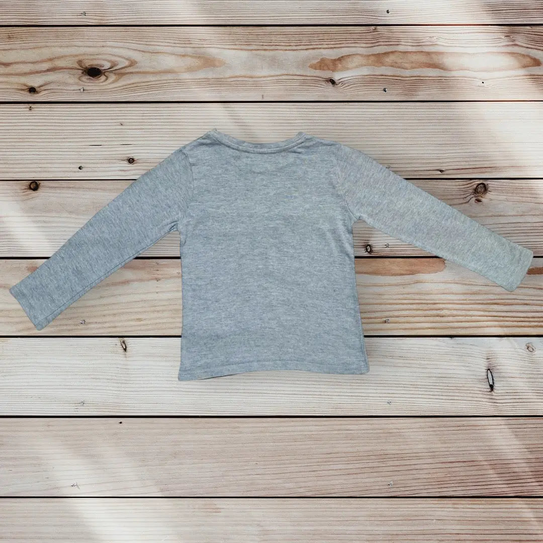 T-shirt Garçon 3 Ans C&A - Dinosaures Multicolores la petite friperie