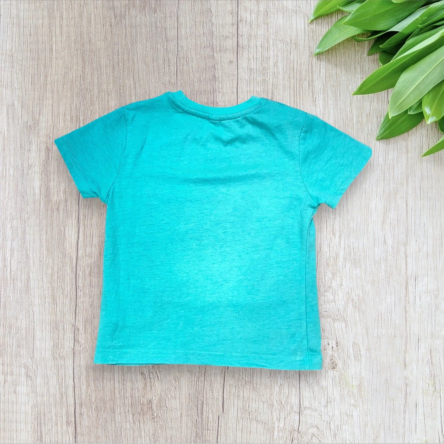 T-shirt garçon 3 ans turquoise avec broderies surfs – très bon état